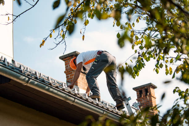 Best Roof Leak Repair  in Freeland, MI