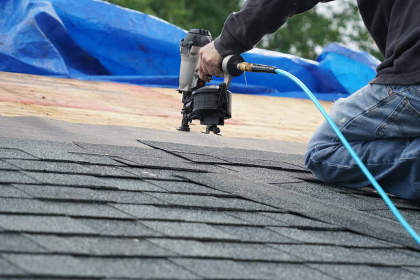 Best Roof Maintenance Services  in Freeland, MI