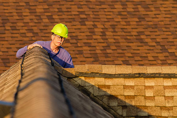 Trusted Freeland, MI Roofing Contractor Experts