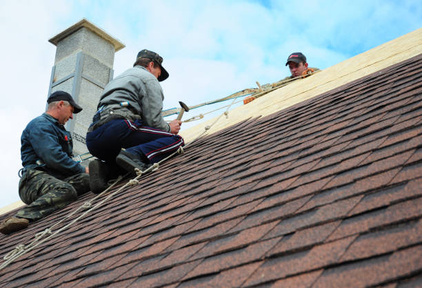 Reliable Freeland, MI Roofing Contractor Solutions