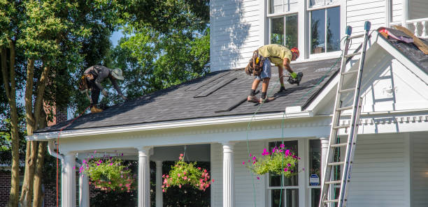 Best Flat Roof Repair Services  in Freeland, MI