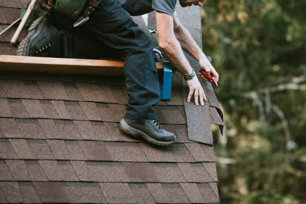 Best Sealant for Roof  in Freeland, MI