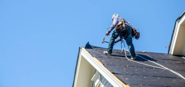 Best Storm Damage Roof Repair  in Freeland, MI